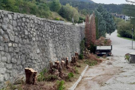 Pokopališče ciprese2